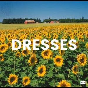 DRESSES